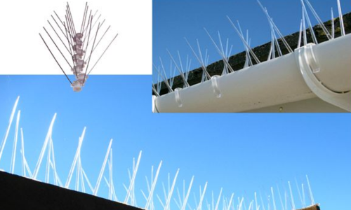 Bird Spikes Sales & Installation